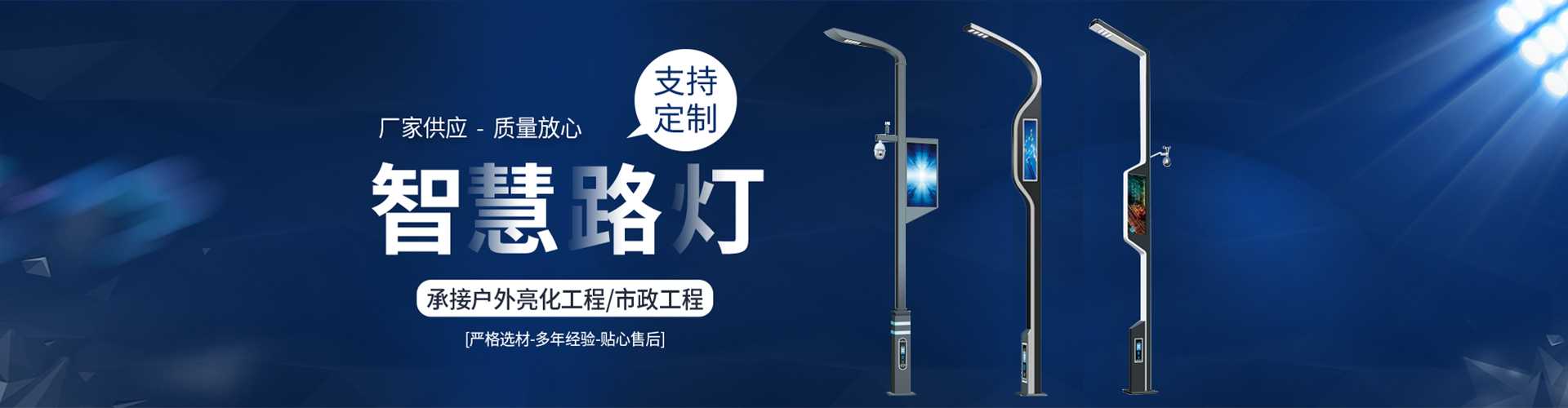 振兴区太阳能路灯定制厂家