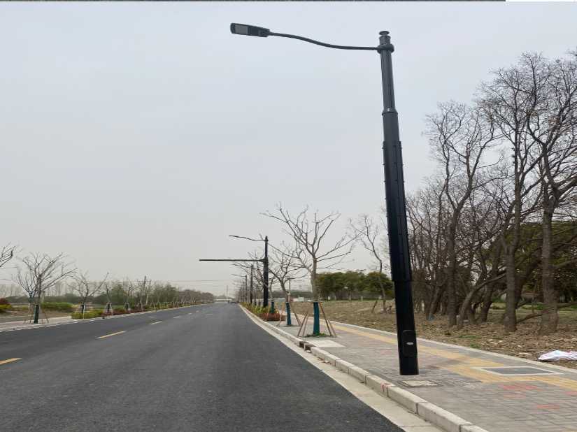 振兴区上海综合杆 太阳能路灯工程